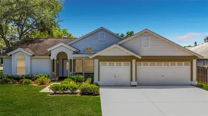 PALM HARBOR FL Home