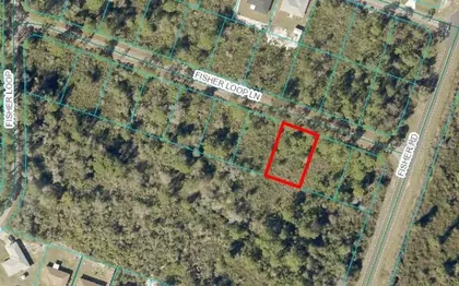 OCKLAWAHA FL Property