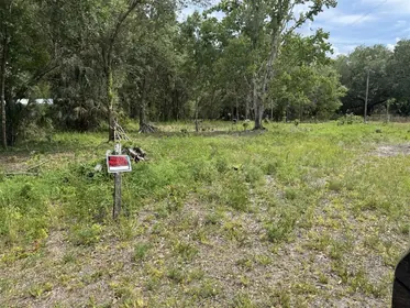 LAKE WALES FL Property