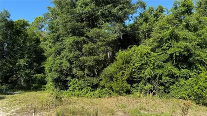 FORT MC COY FL Property