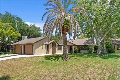CLEARWATER FL Home