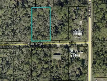 BUNNELL FL Property