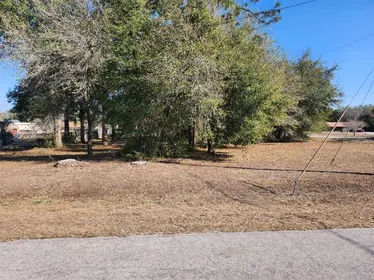 SUMMERFIELD FL Property