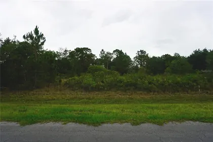 ORLANDO FL Property