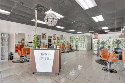 VALRICO FL Property