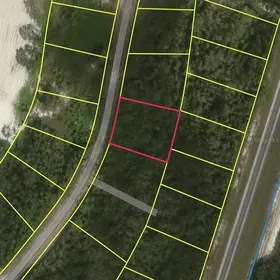 OCKLAWAHA FL Property