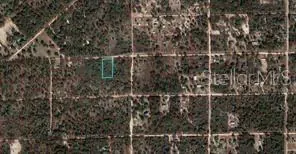 BRONSON FL Property