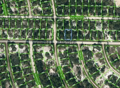 LAKE PLACID FL Property
