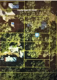 LAKE PANASOFFKEE FL Property