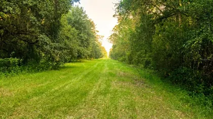 OKEECHOBEE FL Property