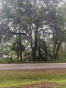 ORANGE CITY FL Property