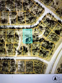 NORTH PORT FL Property