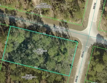 BROOKSVILLE FL Property