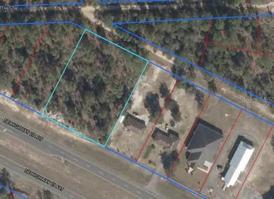 BRONSON FL Property