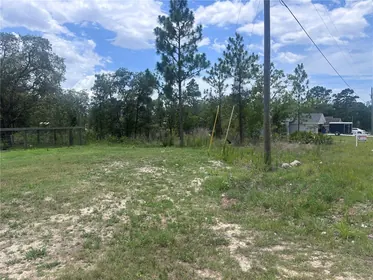 WEEKI WACHEE FL Property