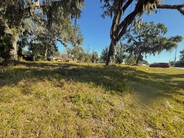 WEBSTER FL Property