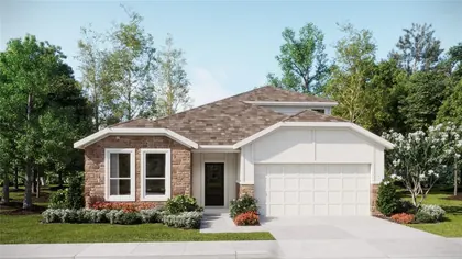 MINNEOLA FL Home