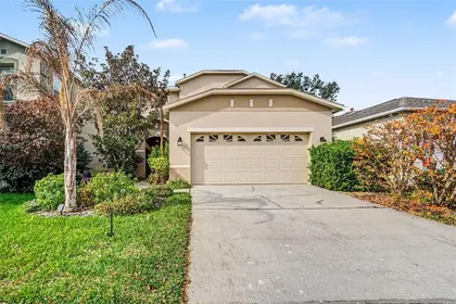 WESLEY CHAPEL FL Home