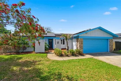 PALM HARBOR FL Home