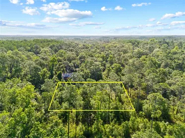 NEW PORT RICHEY FL Property