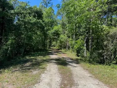 WEBSTER FL Property