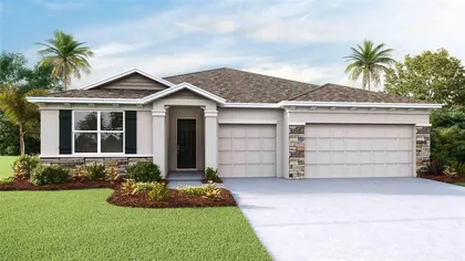 WESLEY CHAPEL FL Home