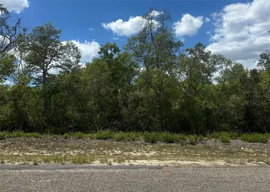DUNNELLON FL Property