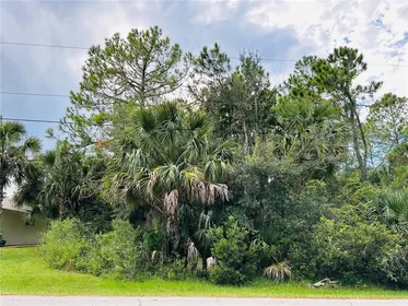 PALM COAST FL Property
