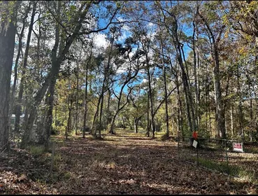 BROOKSVILLE FL Property