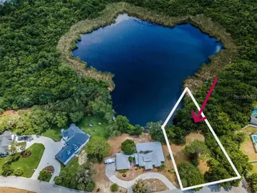 TARPON SPRINGS FL Property