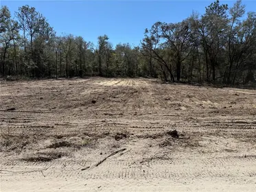 BRONSON FL Property