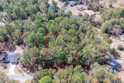 WILLISTON FL Property