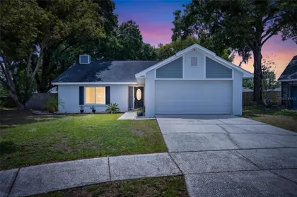 BRANDON FL Home