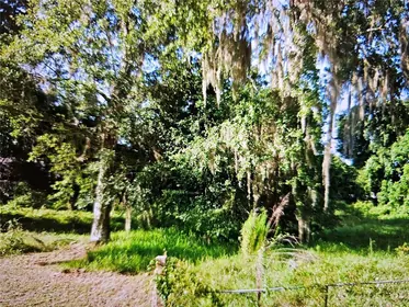 NEW PORT RICHEY FL Property