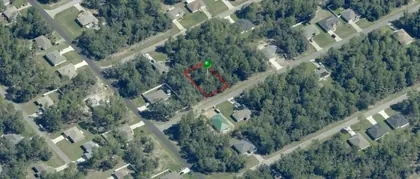 CITRUS SPRINGS FL Property