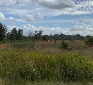 LAKE WALES FL Property