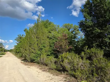 BRONSON FL Property