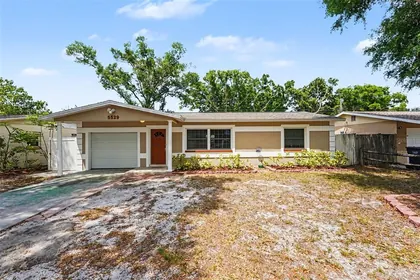 ST PETERSBURG FL Home