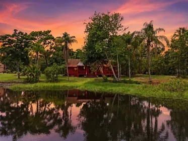 NEW PORT RICHEY FL Property