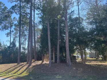 PALM COAST FL Property