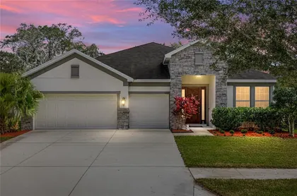 WESLEY CHAPEL FL Home