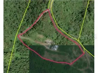 NAGUABO PR Property