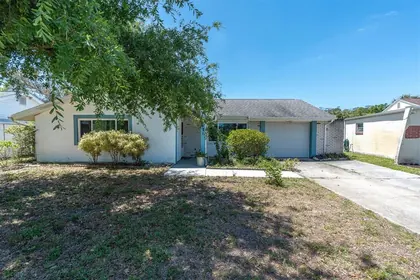 HOLIDAY FL Home