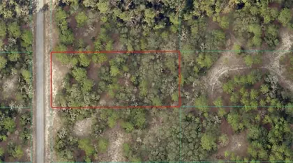 DUNNELLON FL Property