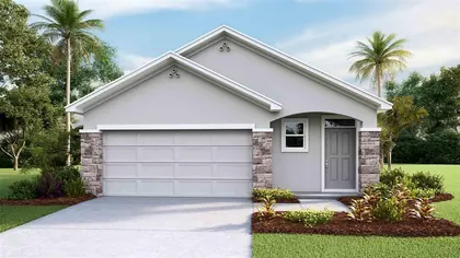 WESLEY CHAPEL FL Home