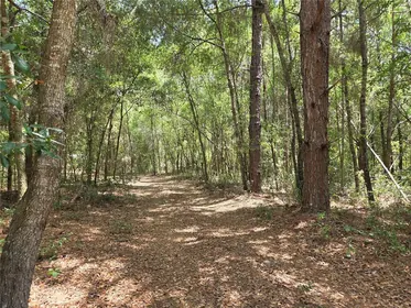 DUNNELLON FL Property