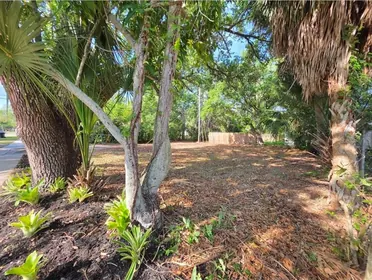 ST PETERSBURG FL Property