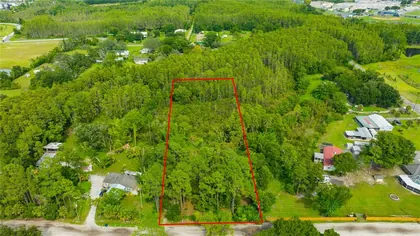 LAND O LAKES FL Property