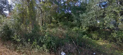 SILVER SPRINGS FL Property