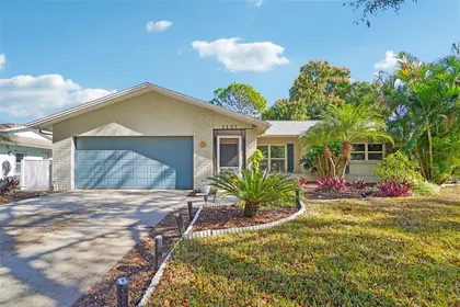 PALM HARBOR FL Home